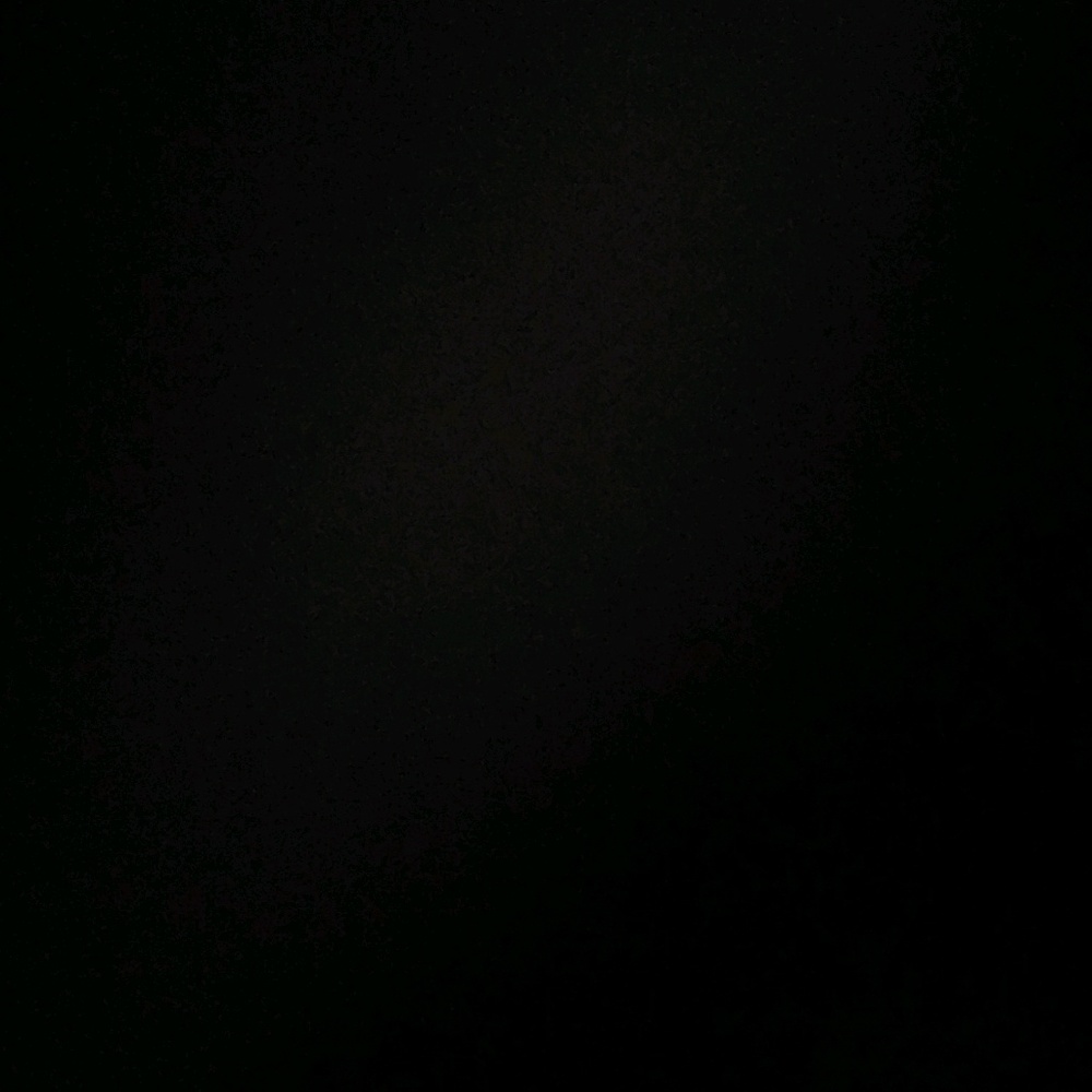 Meet your Posher, Aryanna